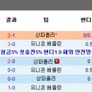 파울리