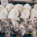 부일상회 이미지