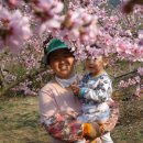 우승농장 이미지