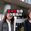 대한민국 법조계를 장악한 거대한 화교 카르텔 이미지