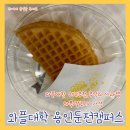 와플대학둔전캠퍼스