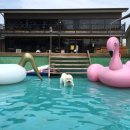 복받은펜션 이미지