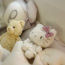 ✧*.갸루쿠마 천사와악마 헬로키티 마이멜로디 인형 가격 후기*✧