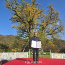 성상2리 이미지