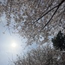 서창남순환로216번길1L | 꽃 따라 드라이브하고 시장투어까지, 특별하진 않지만 더 좋았던 인천 당일치기 여행