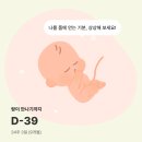 효돈까스 언양점 | [34-35주] 35주 정기검진 / 튼살 / 철분주사 / 출산휴가