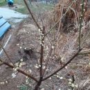 인덕농장 이미지