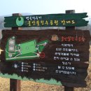 백곡저수지 친수공원 네이버블로그