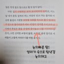 윤슬에디션 이미지
