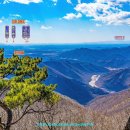 종자산 등산로 이미지