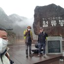 상봉사슴목장 Daum카페