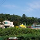 잣나무 향기 펜션 이미지