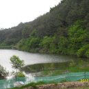 마당지 Daum카페
