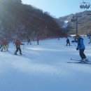 대마초등학교 이미지