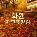 화원자연휴양림 숙소 예약, 유의사항, 교통편 총정리