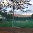 풋살경기장 이미지