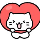 파주고양이 미용실 이미지