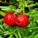 김세종농장 | 제2회 제주가든투어 야자나라 비밀의정글투어 후기