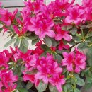 양지보건진료소 이미지