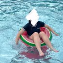 오버더마운틴 이미지