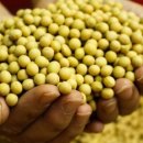 태백농원 이미지