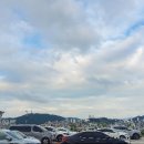 유달정육