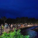 달빛 고래 트레킹 이미지