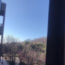 앞장술 해수욕장