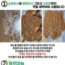 진토베기 Daum카페