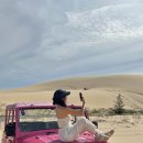 동기목장 | 나트랑 판랑 사막투어 자유 일정 코스 단독 투어 가볼만한곳 후기!