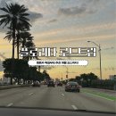 3G렌트카 | 플로리다 여행 / 로드트립 🏖️ :: 올랜도 공항 픽업 렌트카 꿀팁❕+ 올랜도 디즈니랜드 | 마이애미 | 탬파...