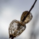 구암농장 이미지