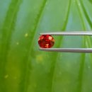 오렌지클린 이미지