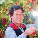 금무리농장 이미지