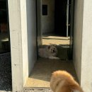 소양고요 | 전주 근교 대형 카페 내 힐링을 부탁해~❤️ [소양 오스갤러리]