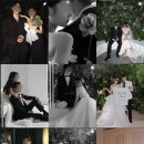 윈느제이 | 편_벨르/모네스튜디오/세미앙부산/모던마인드/블랑드윈느/노이스튜디오/부산그사순/오우드/디오브...