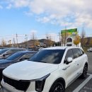 차이카렌트카 이미지