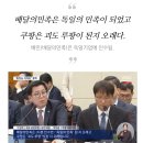 배달의민족은 독일의 민족이 되었고, 쿠팡은 괴도루팡 된지 오래 (국회 현안질의) 이미지