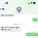 갬성겜방 | 대전은 생각보다 유잼이었다! 대전 1박 2일 여행 후기