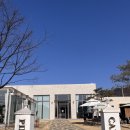 섭재 | 내돈내산 후기 강원도 원주 대형카페 분위기 좋은 관설동 카페 아이와 같이 가기 좋은 카페 피네