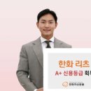 리츠A 이미지