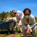 종식목장 이미지