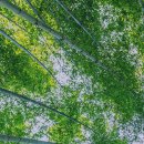 다그마 이론, 작은 것이 큰 것을 움직인다 이미지