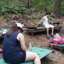 대전자양초등학교 Daum카페