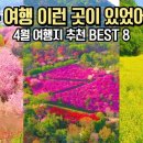 국내 여행 추천 놓치면 후회할 4월 봄 여행 명소 BEST 8 이미지