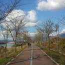 남한강 자전거길 이미지