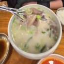 장털보한우곰탕 | 🥣 한우로 72시간 고아낸 진국! 통영 ‘장털보 한우곰탕’ 솔직후기 🍲