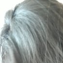 퍼시픽 티지 이미지