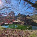 분천산타마을 자전거셰어링 | 봉화 여행 충재박물관 분천산타마을 크리스마스 축제