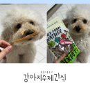 황금 펫 수제간식 | 오래 씹기 좋은 무첨가 간식 찾는다면 식스펫 강아지수제간식 돼지귀슬라이스 후기!